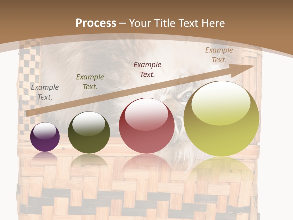 Upside Down American Curl Cat On Chair, On White Background PowerPoint Template