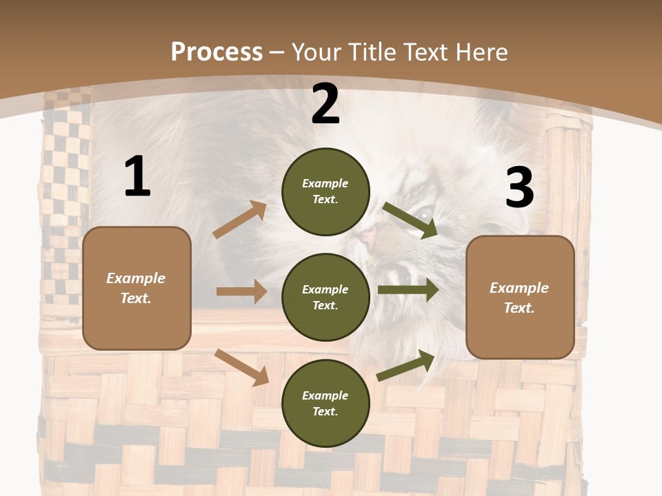 Upside Down American Curl Cat On Chair, On White Background PowerPoint Template