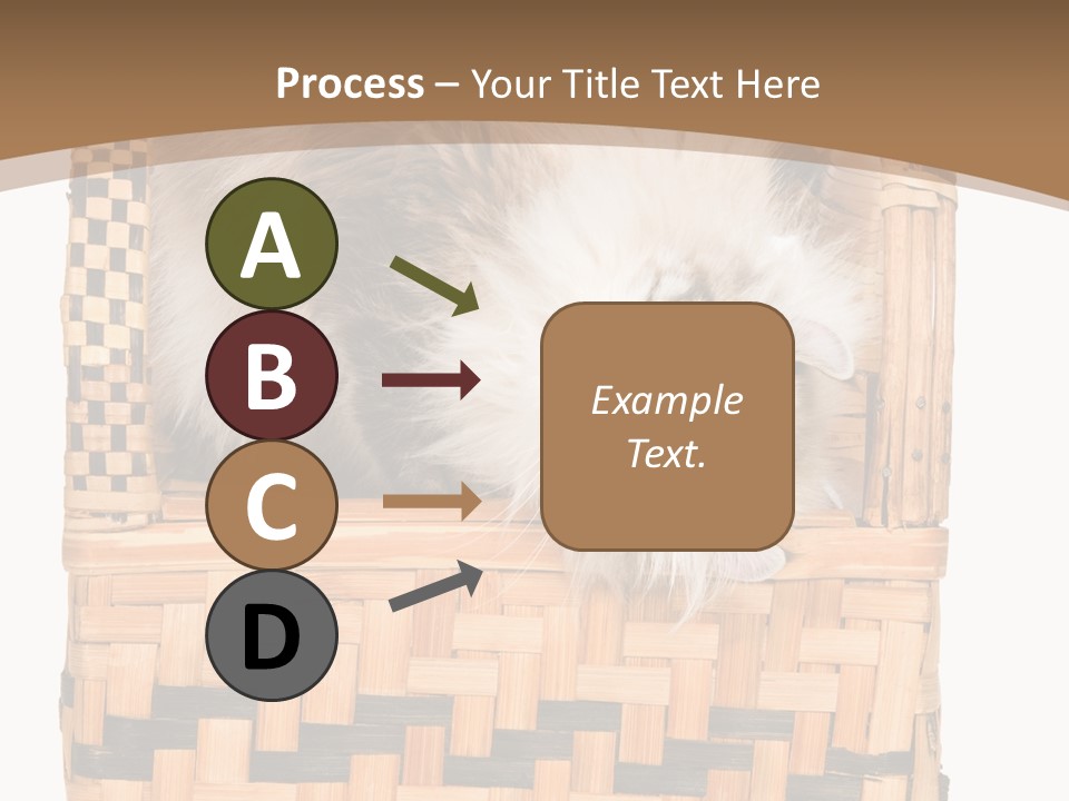 Upside Down American Curl Cat On Chair, On White Background PowerPoint Template