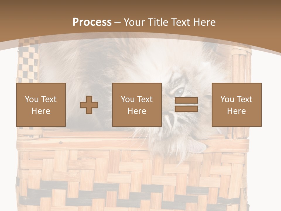 Upside Down American Curl Cat On Chair, On White Background PowerPoint Template