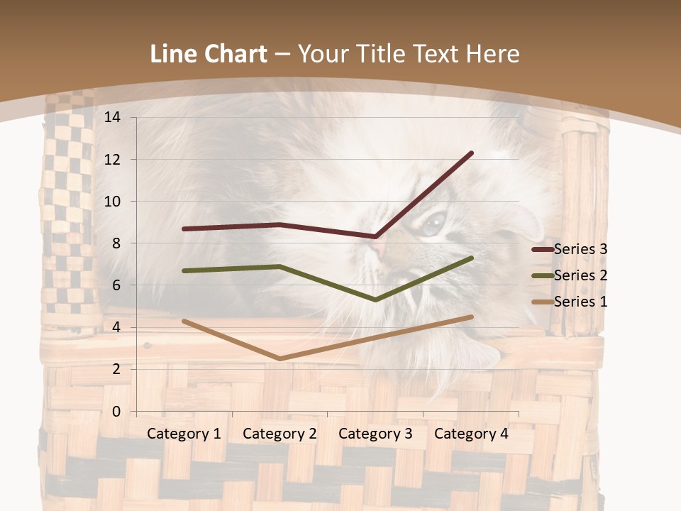 Upside Down American Curl Cat On Chair, On White Background PowerPoint Template