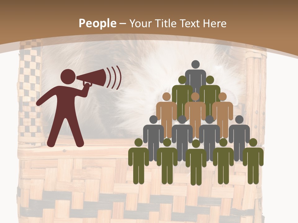 Upside Down American Curl Cat On Chair, On White Background PowerPoint Template