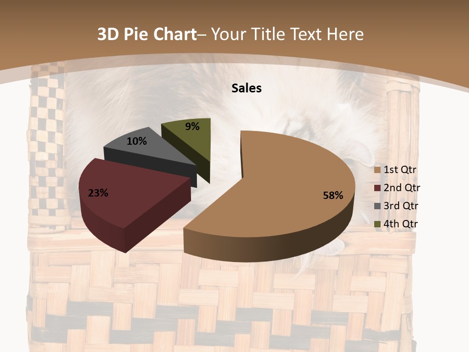 Upside Down American Curl Cat On Chair, On White Background PowerPoint Template