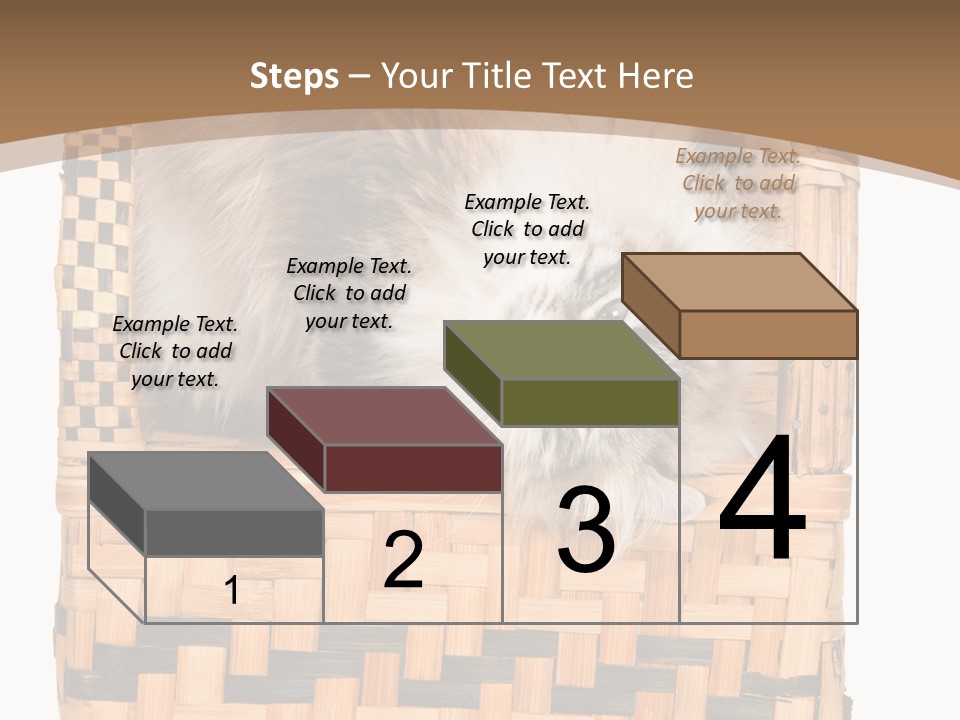 Upside Down American Curl Cat On Chair, On White Background PowerPoint Template