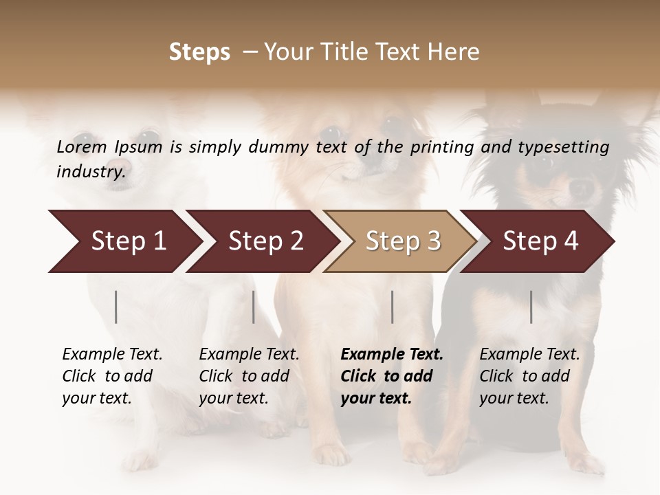 Chihuahua Dog On White Background PowerPoint Template