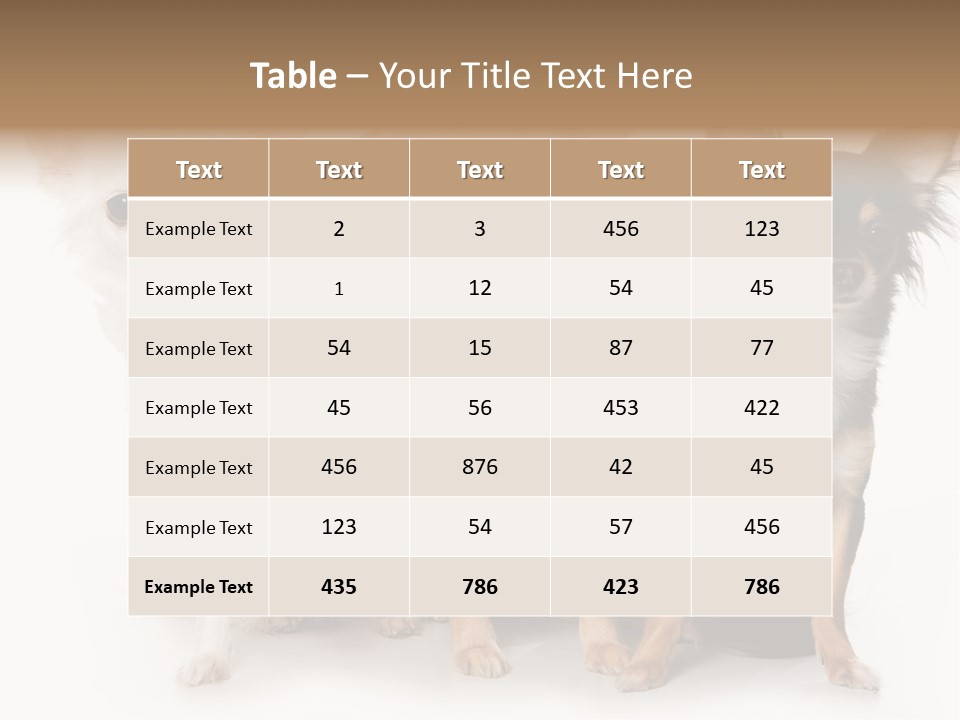 Chihuahua Dog On White Background PowerPoint Template