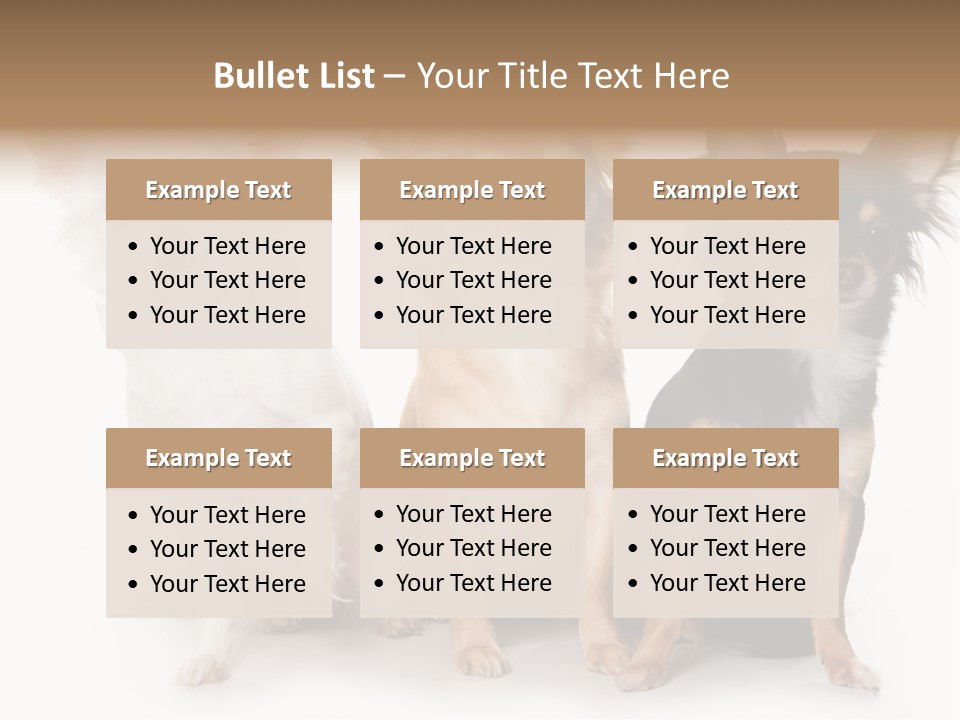 Chihuahua Dog On White Background PowerPoint Template