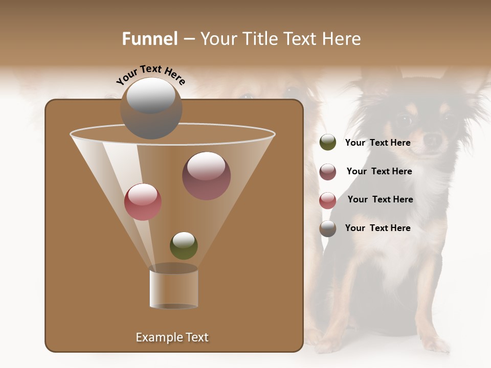 Chihuahua Dog On White Background PowerPoint Template