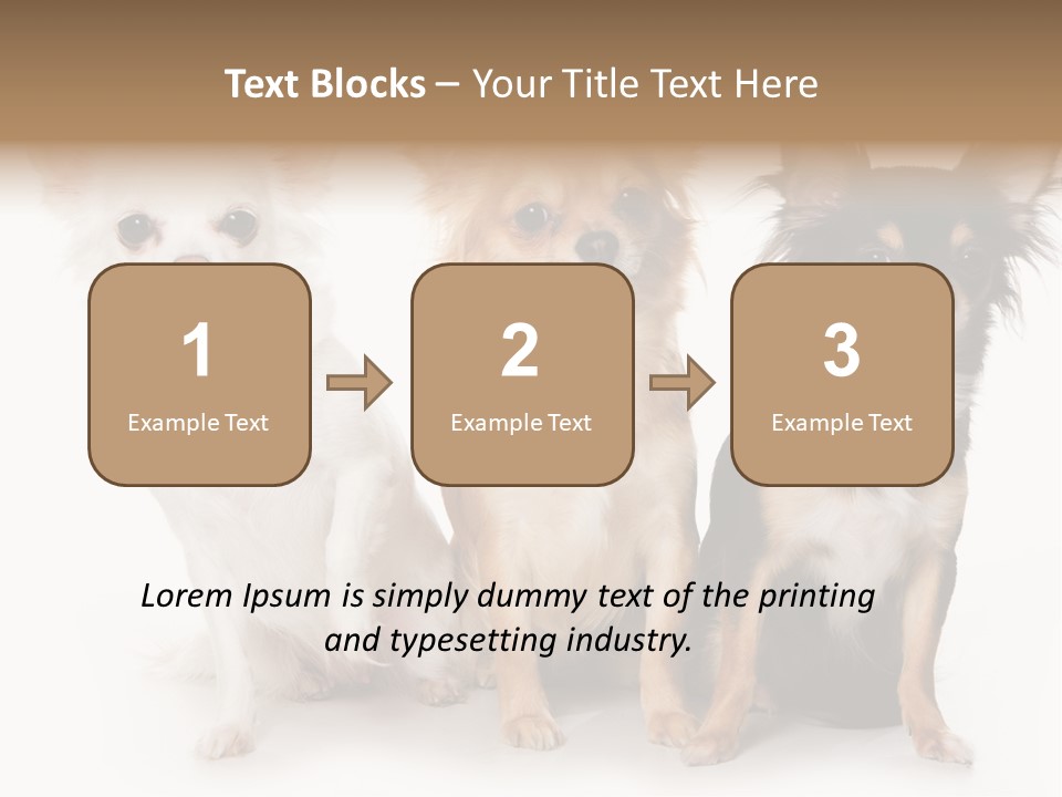 Chihuahua Dog On White Background PowerPoint Template