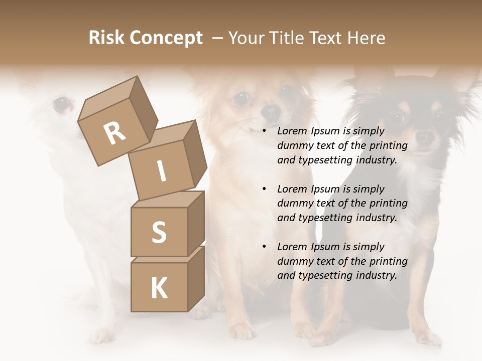 Chihuahua Dog On White Background PowerPoint Template