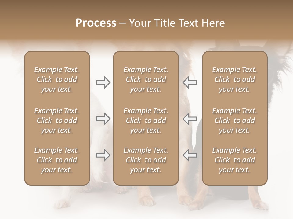 Chihuahua Dog On White Background PowerPoint Template