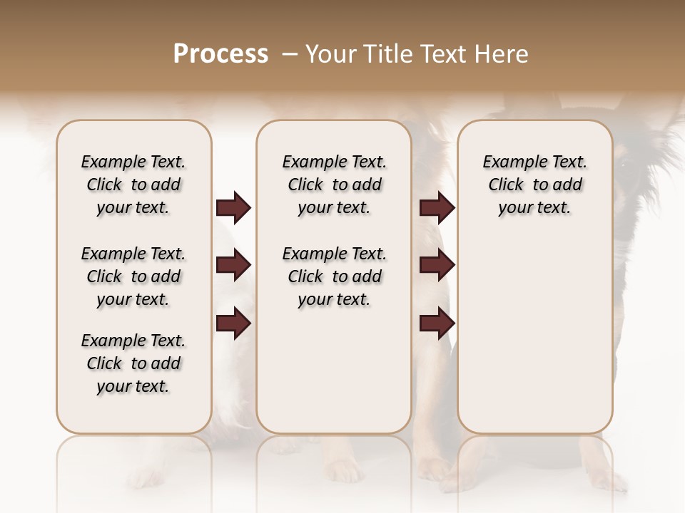 Chihuahua Dog On White Background PowerPoint Template