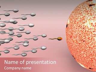 Cartoon Illustrating Male Sperm Cells Fertilizing A Female Egg PowerPoint Template