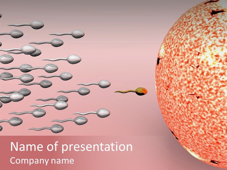 Cartoon Illustrating Male Sperm Cells Fertilizing A Female Egg PowerPoint Template