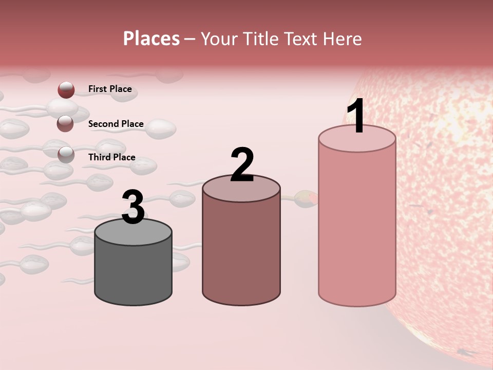 Cartoon Illustrating Male Sperm Cells Fertilizing A Female Egg PowerPoint Template