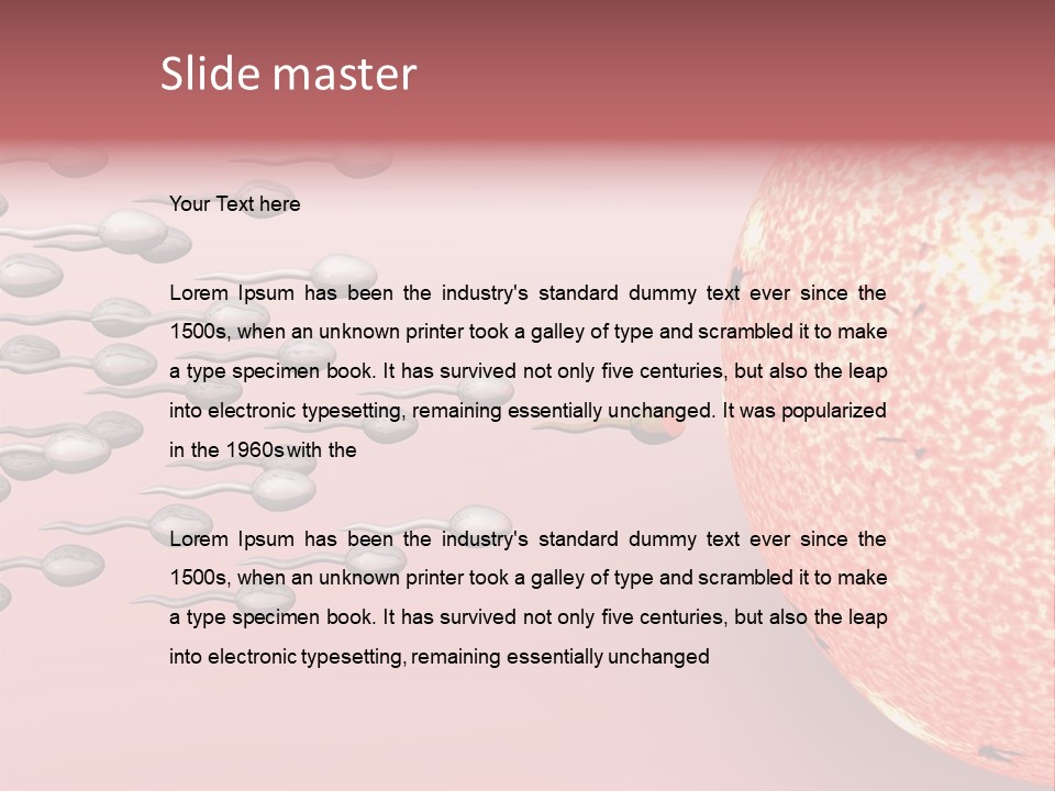 Cartoon Illustrating Male Sperm Cells Fertilizing A Female Egg PowerPoint Template