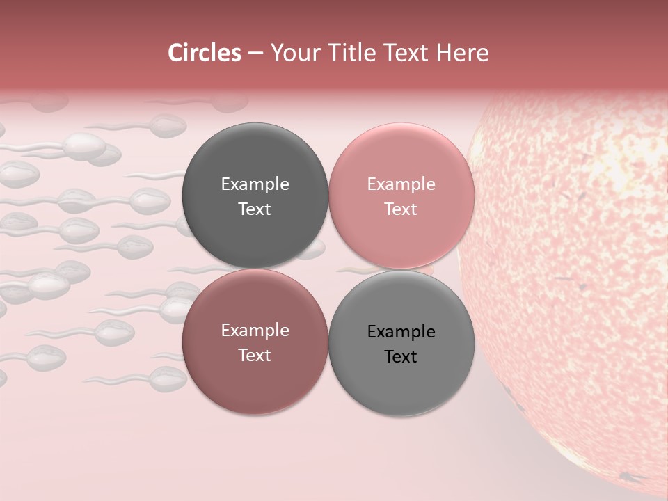Cartoon Illustrating Male Sperm Cells Fertilizing A Female Egg PowerPoint Template