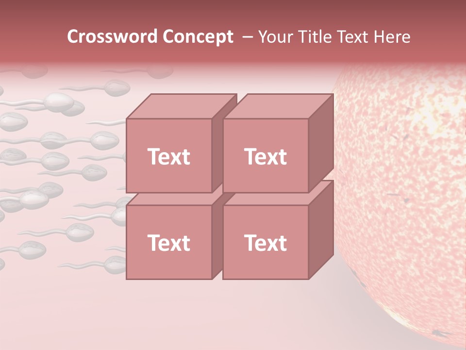 Cartoon Illustrating Male Sperm Cells Fertilizing A Female Egg PowerPoint Template