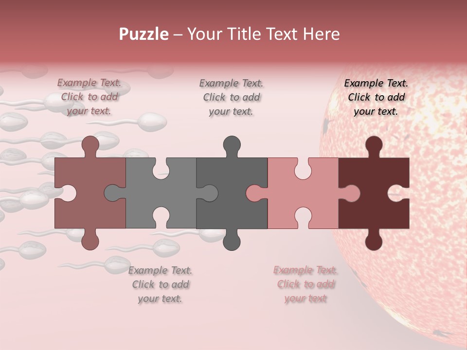 Cartoon Illustrating Male Sperm Cells Fertilizing A Female Egg PowerPoint Template