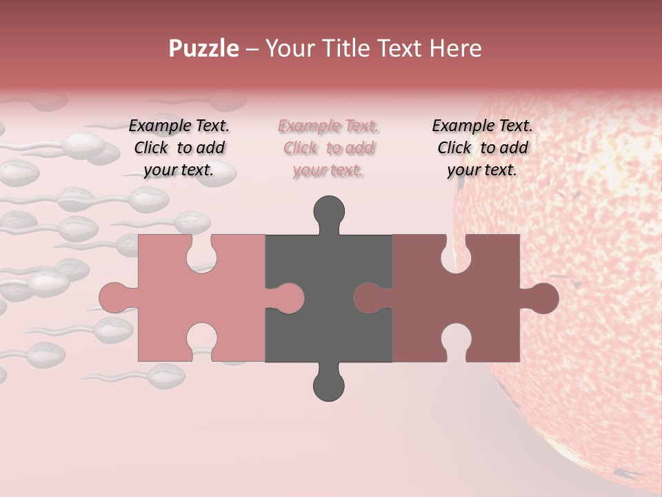 Cartoon Illustrating Male Sperm Cells Fertilizing A Female Egg PowerPoint Template