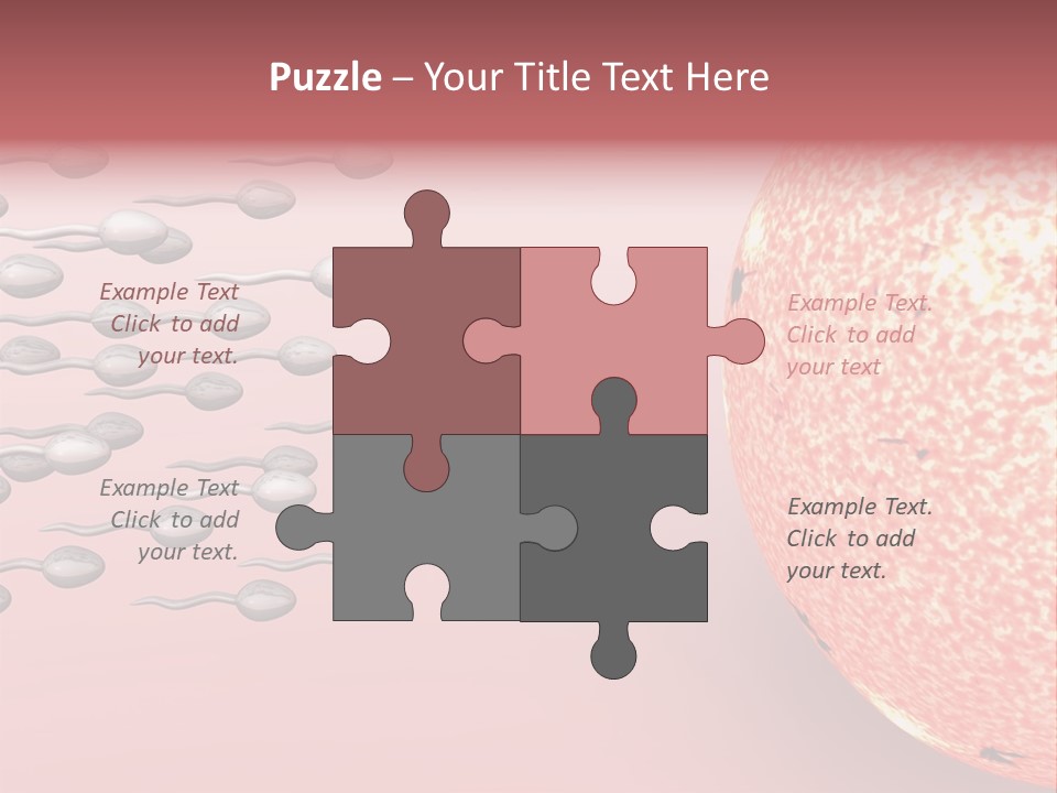 Cartoon Illustrating Male Sperm Cells Fertilizing A Female Egg PowerPoint Template