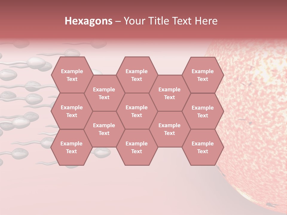 Cartoon Illustrating Male Sperm Cells Fertilizing A Female Egg PowerPoint Template