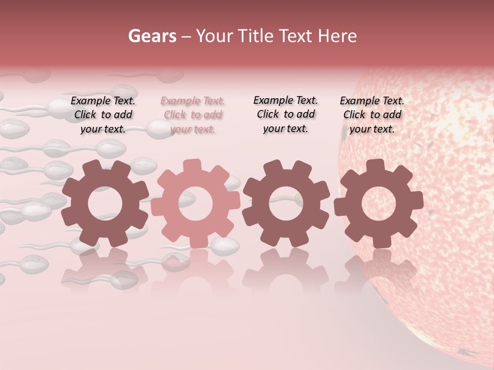 Cartoon Illustrating Male Sperm Cells Fertilizing A Female Egg PowerPoint Template