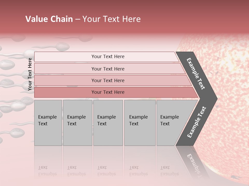 Cartoon Illustrating Male Sperm Cells Fertilizing A Female Egg PowerPoint Template