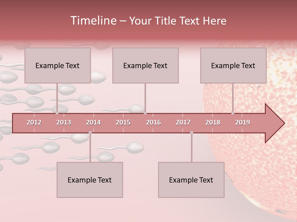Cartoon Illustrating Male Sperm Cells Fertilizing A Female Egg PowerPoint Template
