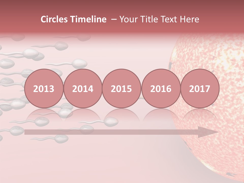 Cartoon Illustrating Male Sperm Cells Fertilizing A Female Egg PowerPoint Template