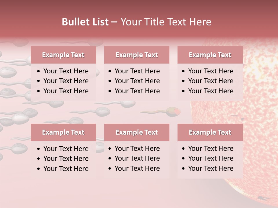 Cartoon Illustrating Male Sperm Cells Fertilizing A Female Egg PowerPoint Template