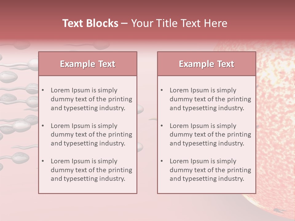 Cartoon Illustrating Male Sperm Cells Fertilizing A Female Egg PowerPoint Template