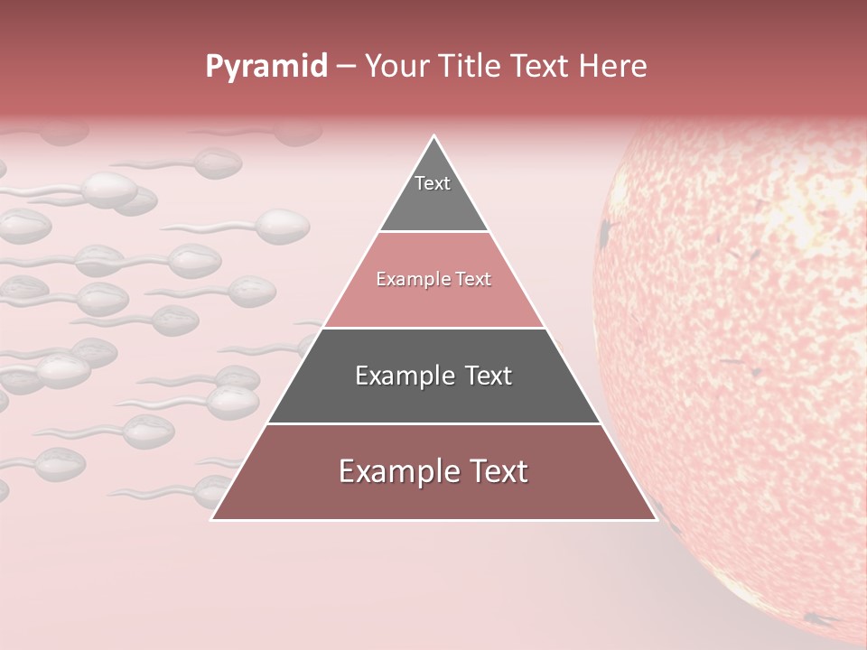 Cartoon Illustrating Male Sperm Cells Fertilizing A Female Egg PowerPoint Template