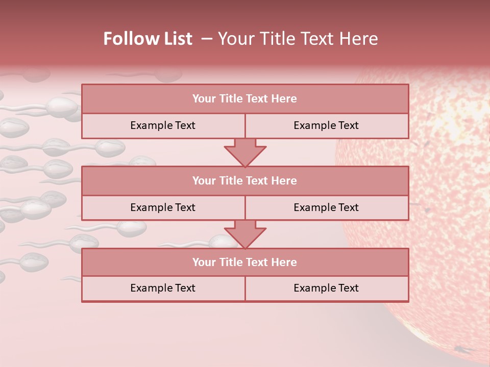 Cartoon Illustrating Male Sperm Cells Fertilizing A Female Egg PowerPoint Template