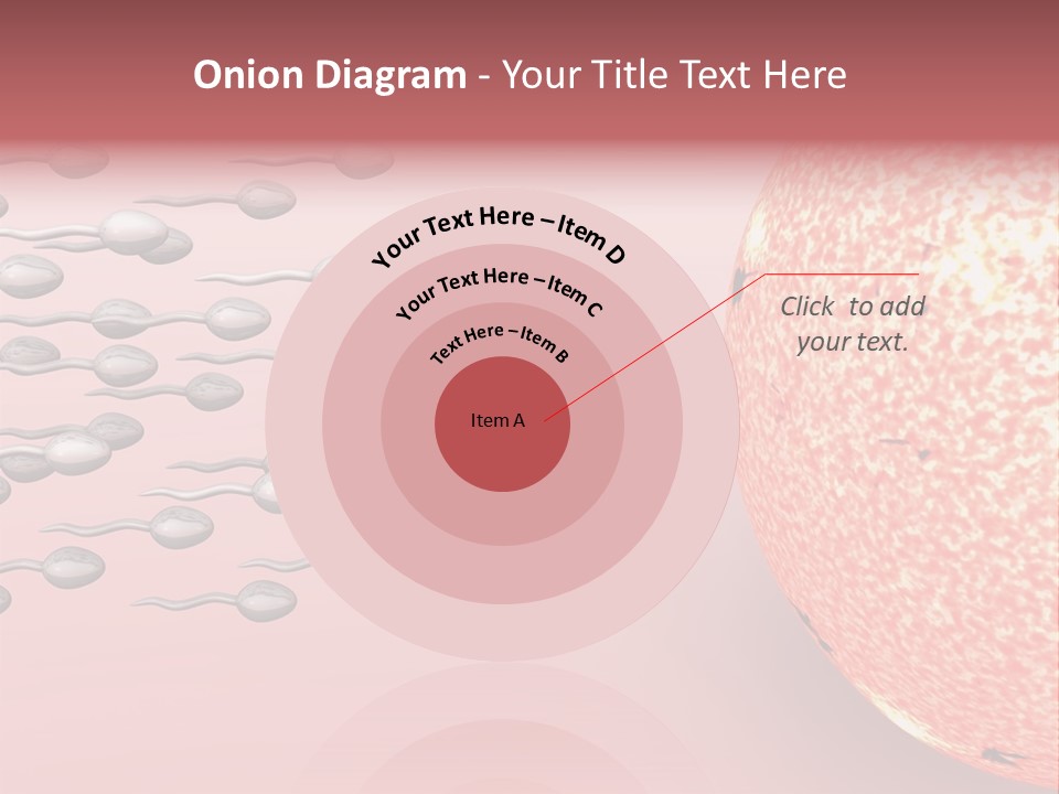 Cartoon Illustrating Male Sperm Cells Fertilizing A Female Egg PowerPoint Template