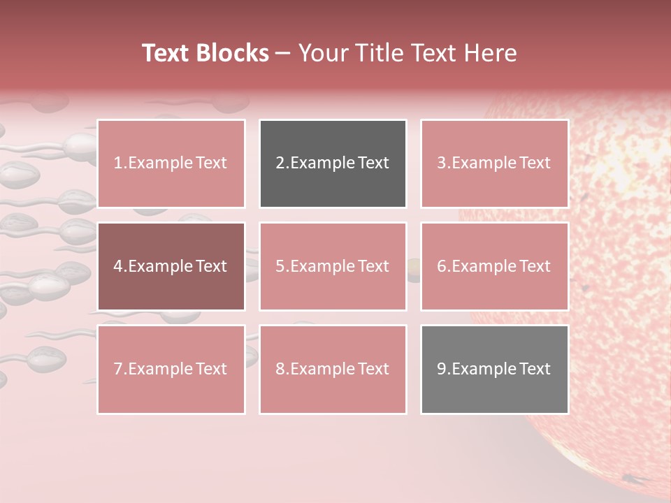 Cartoon Illustrating Male Sperm Cells Fertilizing A Female Egg PowerPoint Template