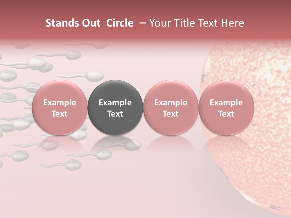 Cartoon Illustrating Male Sperm Cells Fertilizing A Female Egg PowerPoint Template