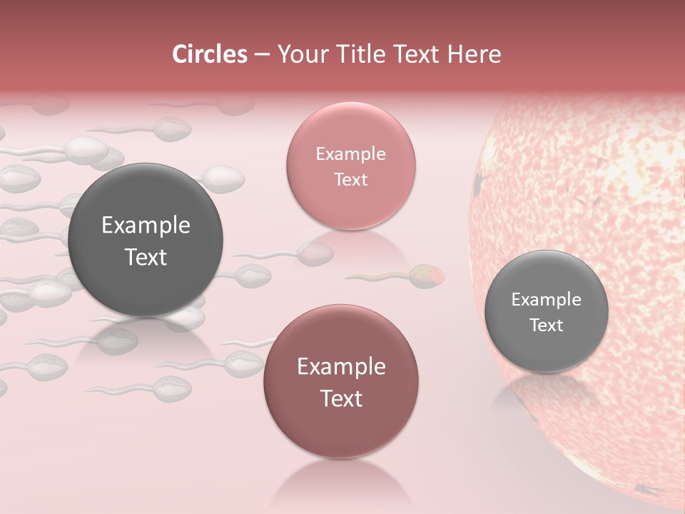 Cartoon Illustrating Male Sperm Cells Fertilizing A Female Egg PowerPoint Template