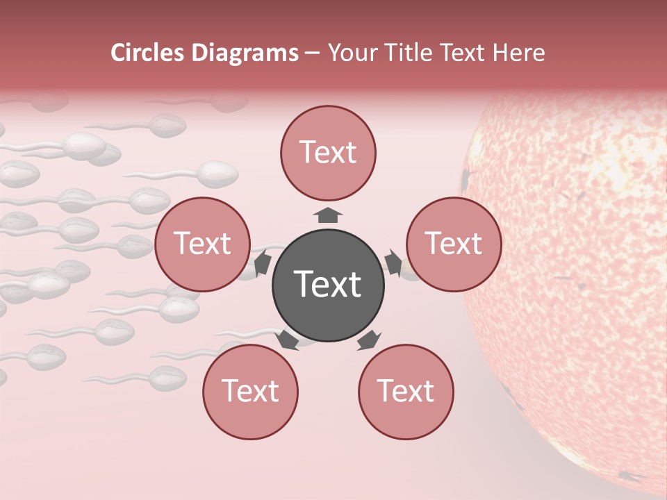 Cartoon Illustrating Male Sperm Cells Fertilizing A Female Egg PowerPoint Template