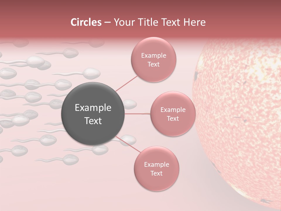 Cartoon Illustrating Male Sperm Cells Fertilizing A Female Egg PowerPoint Template