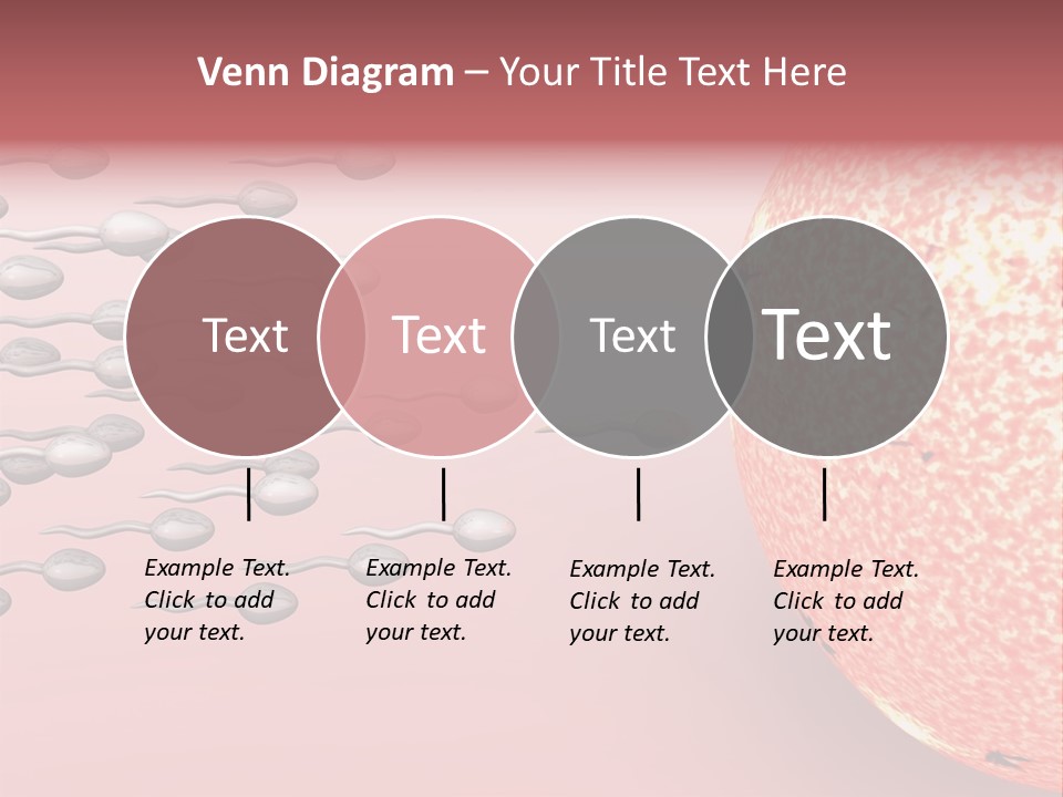 Cartoon Illustrating Male Sperm Cells Fertilizing A Female Egg PowerPoint Template