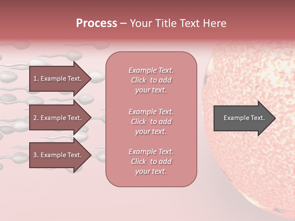 Cartoon Illustrating Male Sperm Cells Fertilizing A Female Egg PowerPoint Template