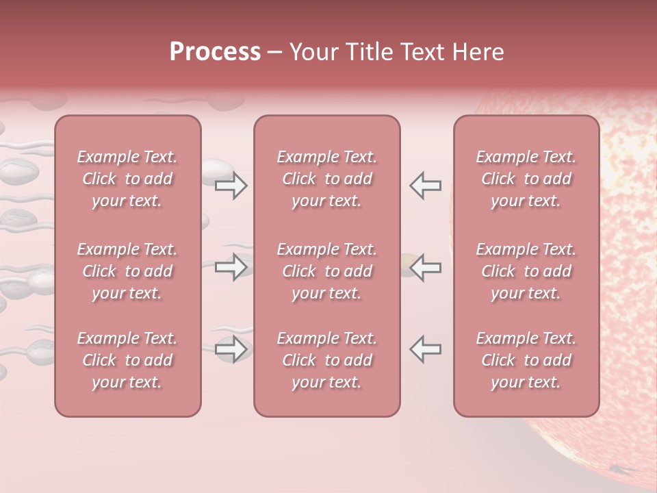 Cartoon Illustrating Male Sperm Cells Fertilizing A Female Egg PowerPoint Template