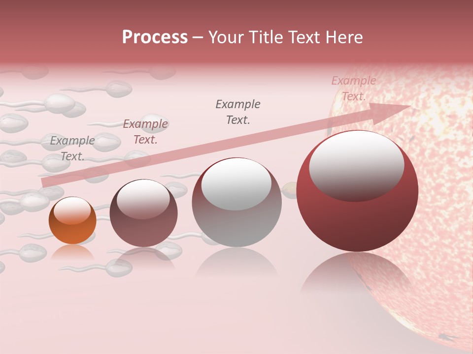 Cartoon Illustrating Male Sperm Cells Fertilizing A Female Egg PowerPoint Template