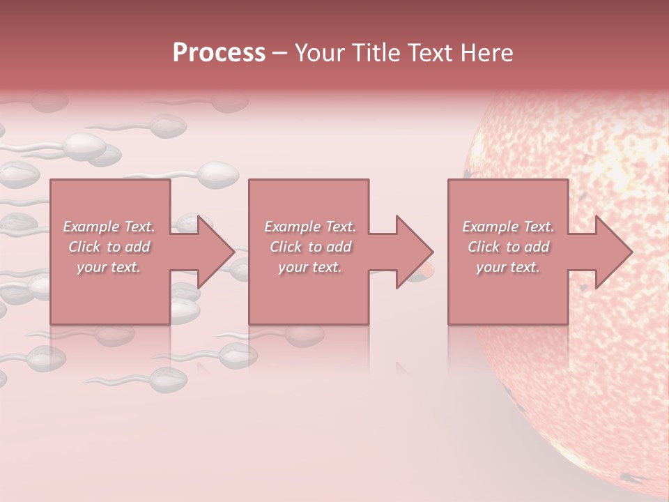 Cartoon Illustrating Male Sperm Cells Fertilizing A Female Egg PowerPoint Template