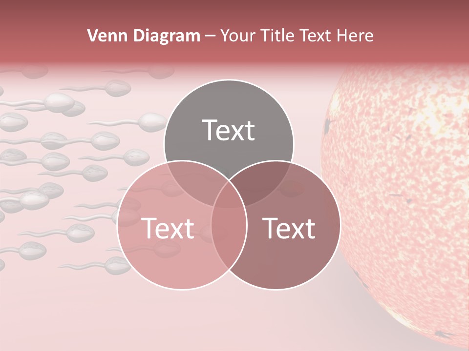 Cartoon Illustrating Male Sperm Cells Fertilizing A Female Egg PowerPoint Template