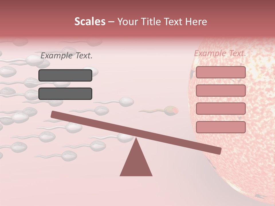 Cartoon Illustrating Male Sperm Cells Fertilizing A Female Egg PowerPoint Template