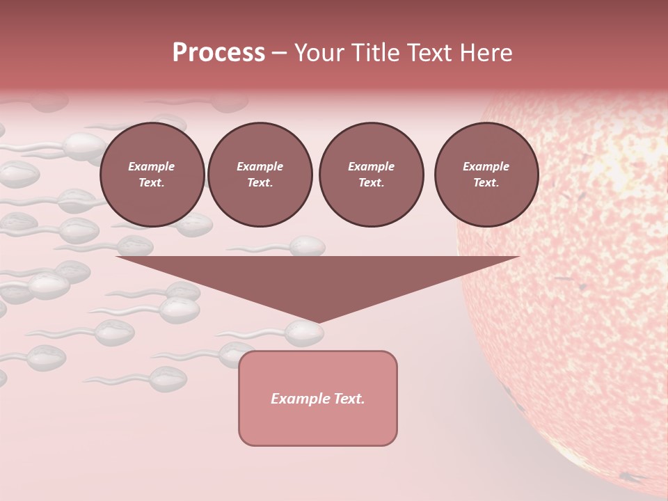 Cartoon Illustrating Male Sperm Cells Fertilizing A Female Egg PowerPoint Template