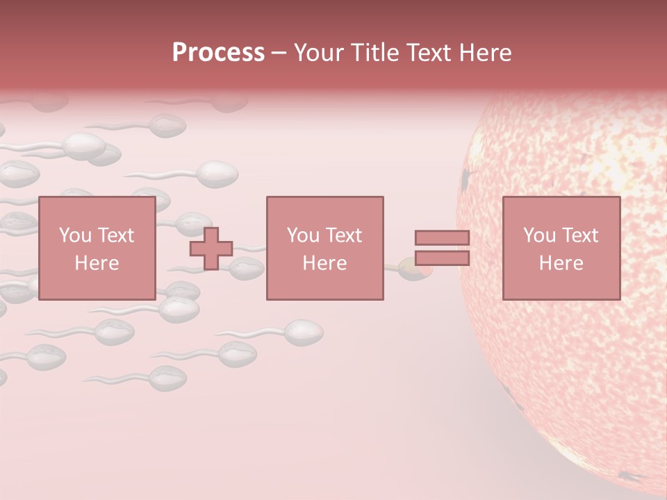 Cartoon Illustrating Male Sperm Cells Fertilizing A Female Egg PowerPoint Template