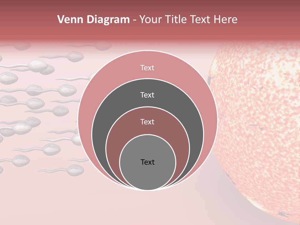 Cartoon Illustrating Male Sperm Cells Fertilizing A Female Egg PowerPoint Template